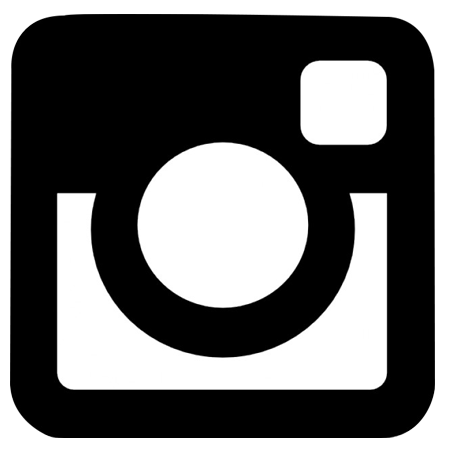 icon instagram vrijstaand